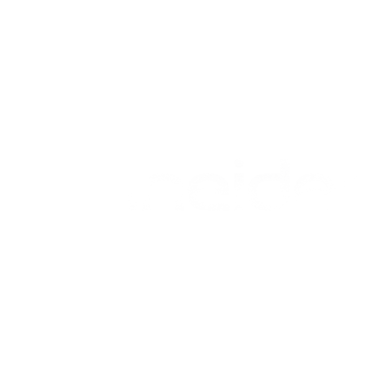 KD_Logo_Schneider_w_r