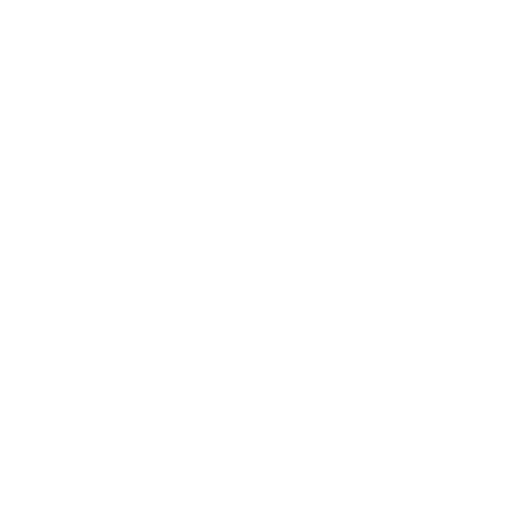 KD_Logo_schunk_w_r